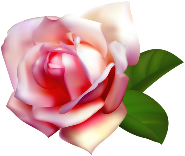 This png image - Beautiful Rose Clip Art PNG Image, is available for free download