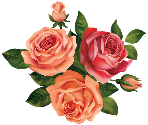 This png image - Beautiful Roses Clipart Image, is available for free download