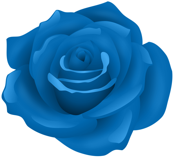 This png image - Blue Rose Flower PNG Transparent Clipart, is available for free download