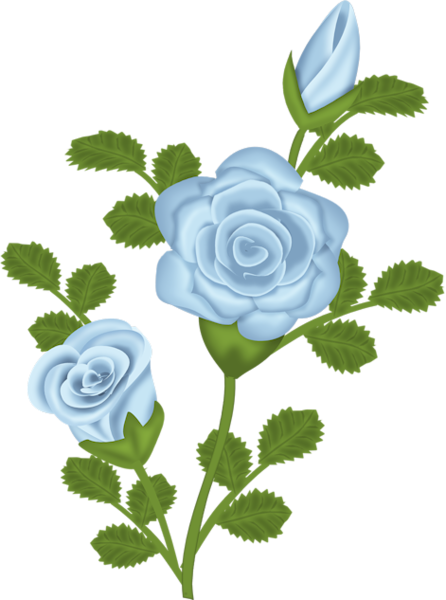 Blue Rose Free Transparent Clipart | Gallery Yopriceville - High