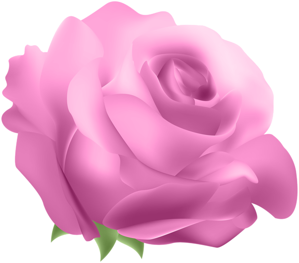 This png image - Deco Rose Pink PNG Clip Art, is available for free download