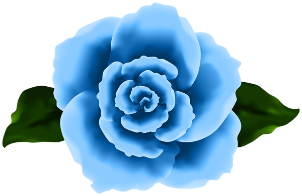 This png image - Decorative Rose Blue Transparent Image, is available for free download