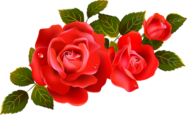    Large_Red_Roses_Clip