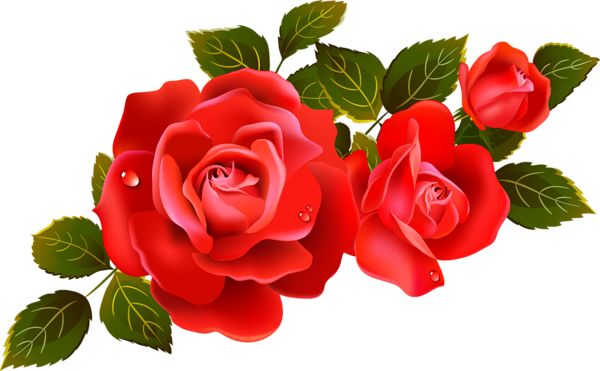  سكرابز ورد بدون تحميل - سكرابز 2016 - 2017 Large_Red_Roses_Clipart_Element