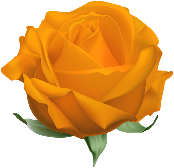 This png image - Orange Open Rose PNG Clipart, is available for free download