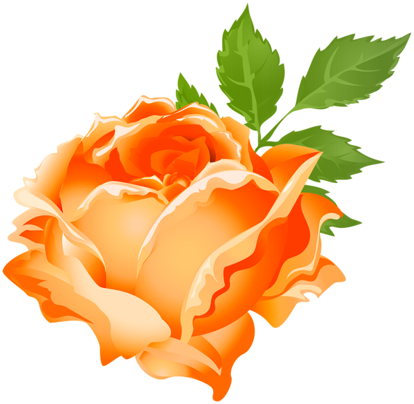 This png image - Orange Rose PNG Clip Art Image, is available for free download