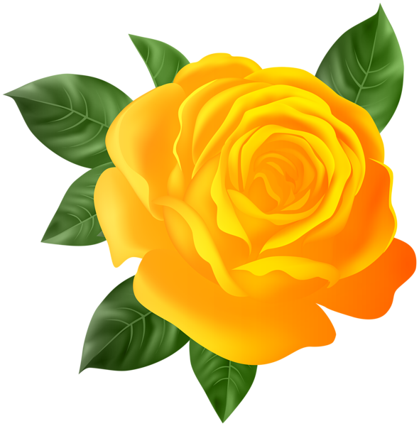 This png image - Orange Rose Transparent PNG Clip Art, is available for free download