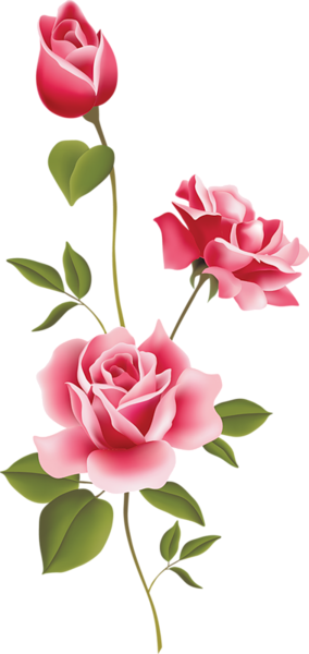 This png image - Pink Rose Art PNG Clipart, is available for free download