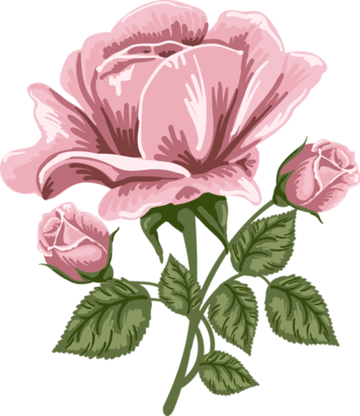 This png image - Pink Rose Art PNG Picture, is available for free download