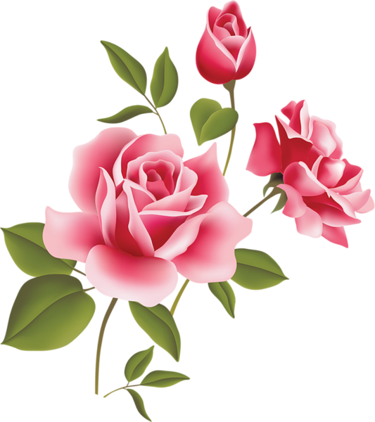 This png image - Pink Rose Art Picture Clipart, is available for free download