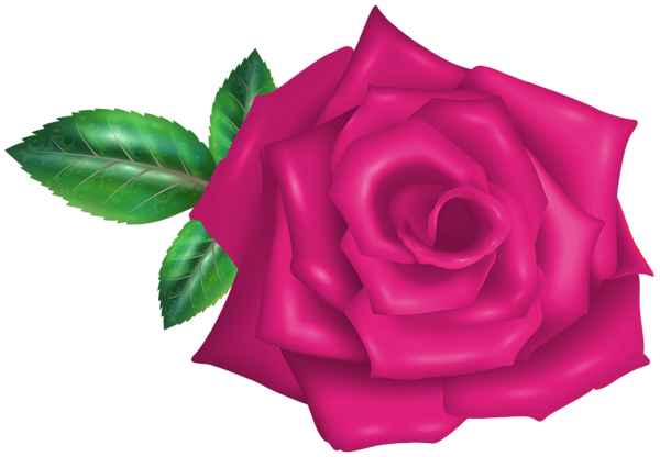 This png image - Pink Rose Flower Transparent PNG Image, is available for free download