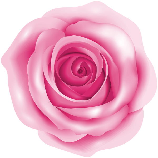clip art roses pink - photo #18