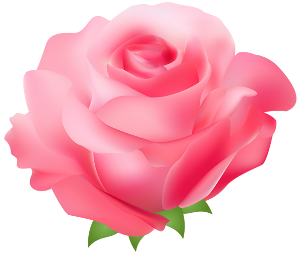 clipart pink rose flower - photo #15