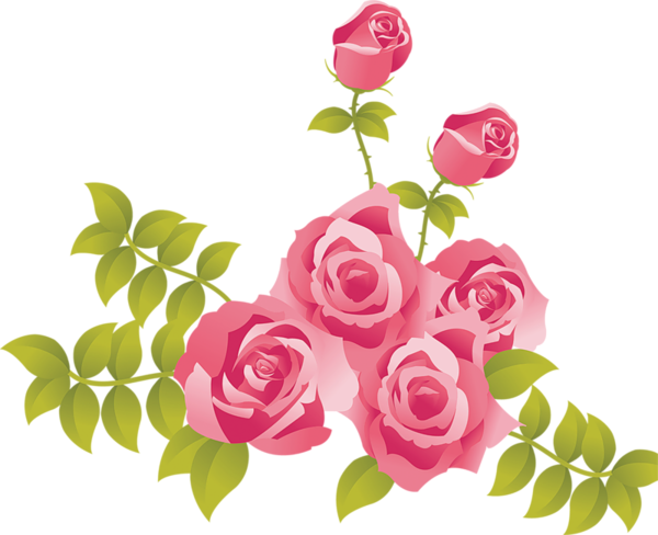 This png image - Pink Roses Painted Picture Clipart, is available for free download