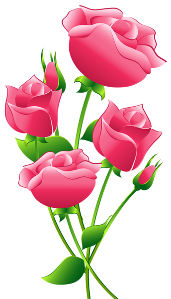 This png image - Pink Roses Transparent PNG Clip Art Image, is available for free download