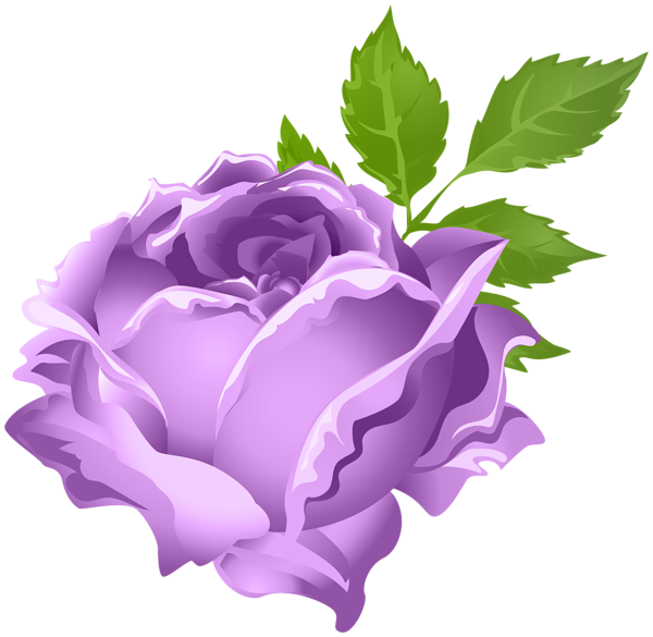 clip art purple rose - photo #26