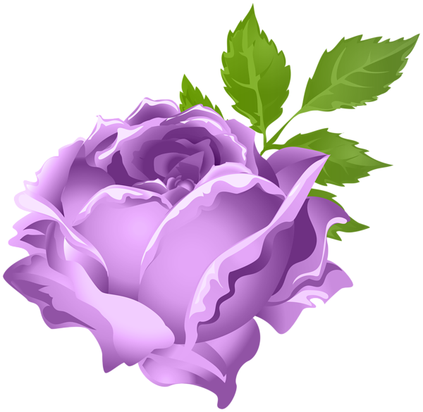 Purple Rose PNG Clip Art Image | Gallery Yopriceville - High-Quality