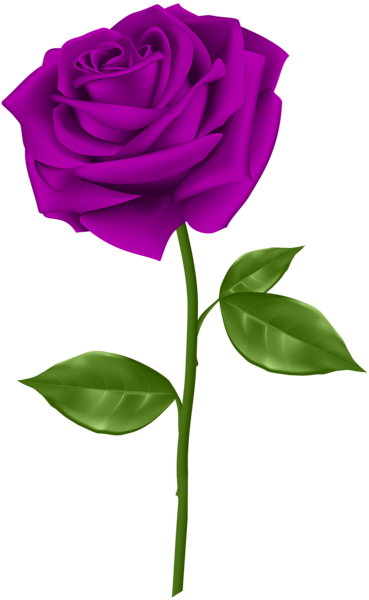 clip art purple rose - photo #8