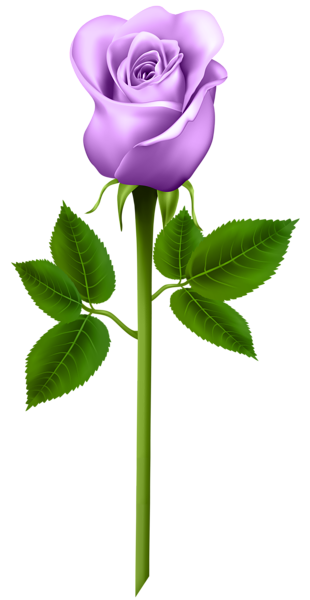clip art purple rose - photo #21