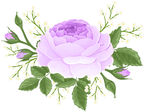 Purple Rose with White Flowers PNG Clip Art Image