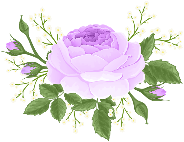 This png image - Purple Rose with White Flowers PNG Clip Art Image, is available for free download