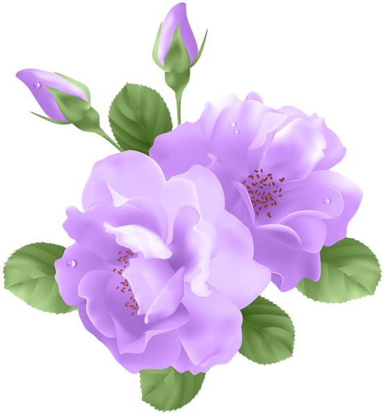 free clip art purple roses - photo #36