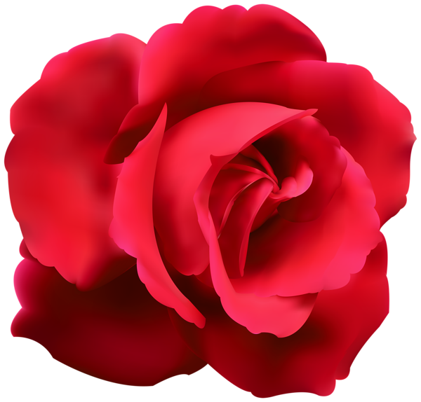 clipart roses red - photo #16