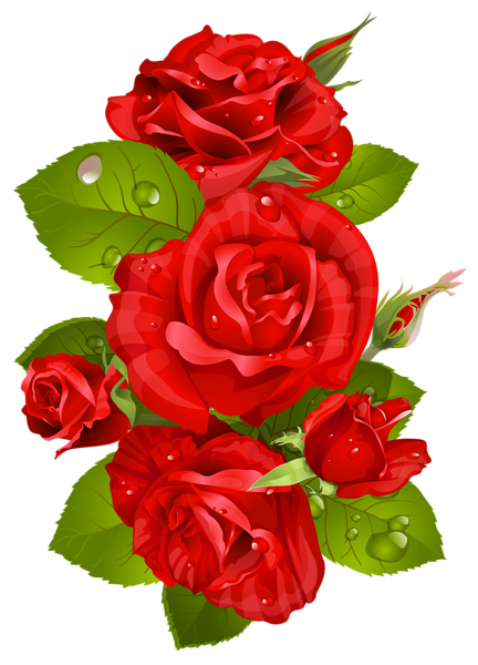 This png image - Red Rose Decoration Transparent PNG Clip Art Image, is available for free download