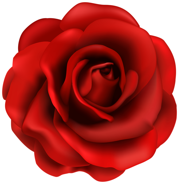 red roses clipart - photo #24