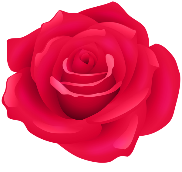 This png image - Red Rose Flower PNG Transparent Clipart, is available for free download