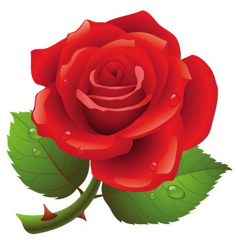 This png image - Red Rose PNG Art Picture, is available for free download