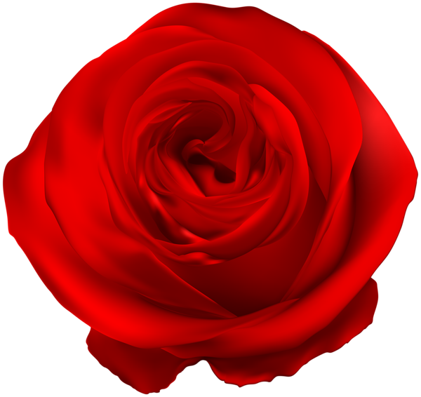 This png image - Red Rose PNG Clip Art, is available for free download