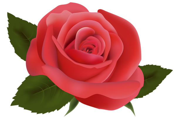 clipart roses red - photo #44