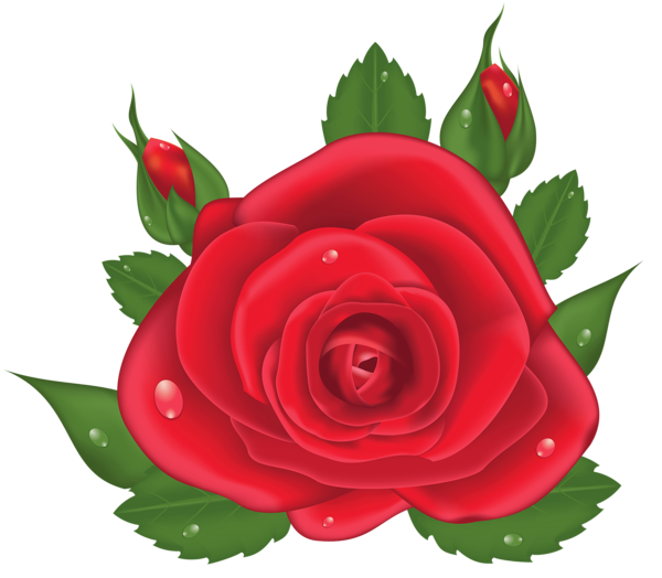 This png image - Red Rose PNG Picture Clipart, is available for free download