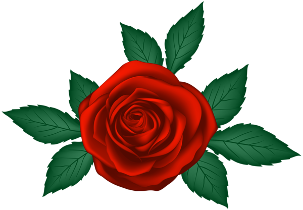 This png image - Red Rose Transparent PNG Clip Art Image, is available for free download