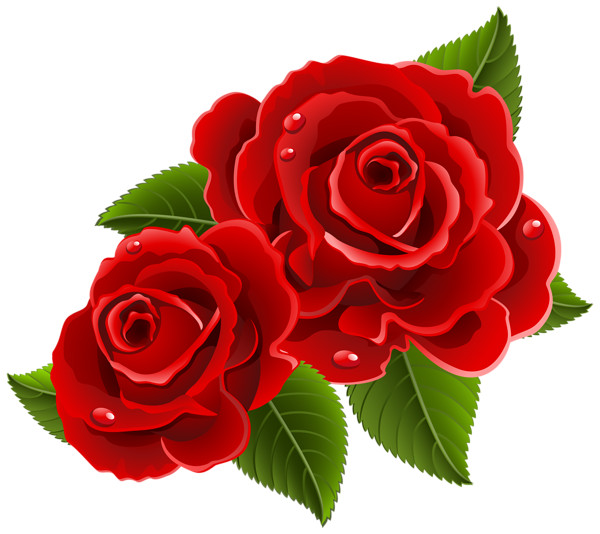 RedRosesBeautifulPngClipartPictureGallery RedRosesBeautifulPngClipartPictureGallery