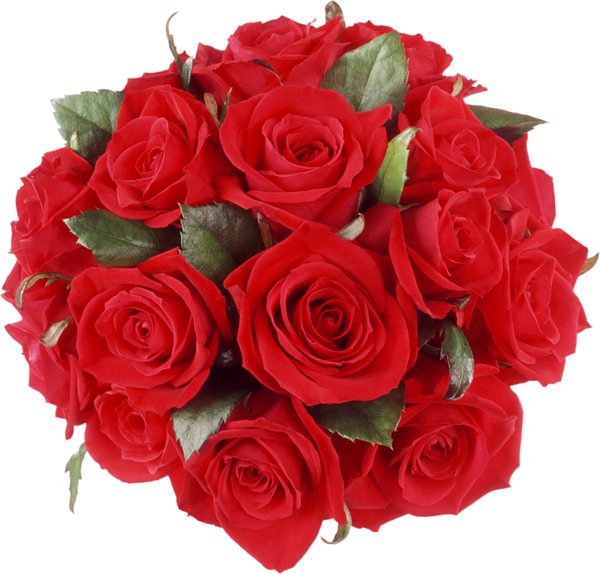 This png image - Red Roses Bouquet PNG Clipart, is available for free download