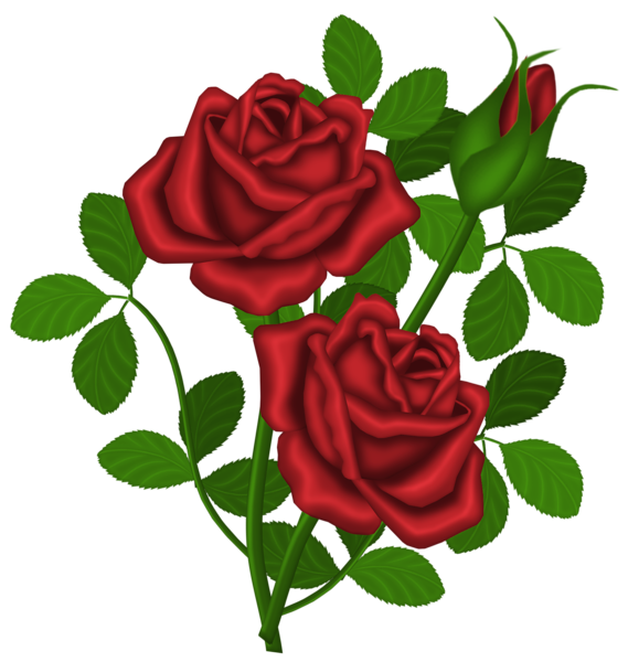This png image - Red Roses PNG Picture Clipart, is available for free download