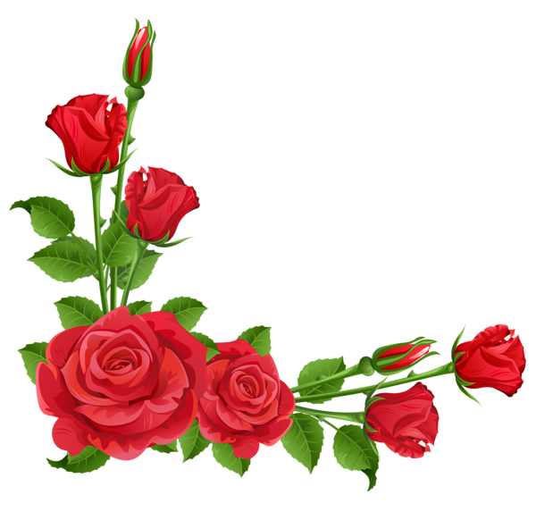 This png image - Red Roses Transparent PNG Clipart, is available for free download