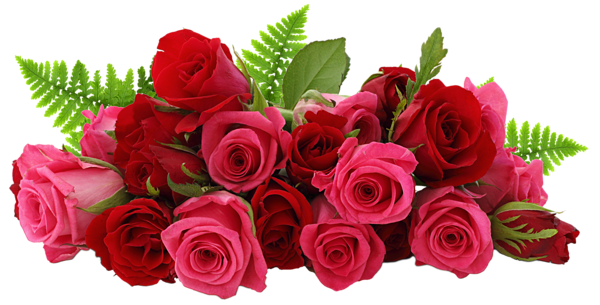 This png image - Red and Pink Roses PNG Picture, is available for free download