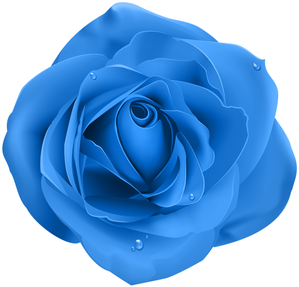 Rose Blue Transparent PNG Clip Art | Gallery Yopriceville - High