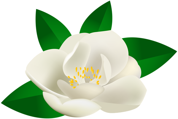 This png image - Rose Bush Flower Transparent Clip Art Image , is available for free download