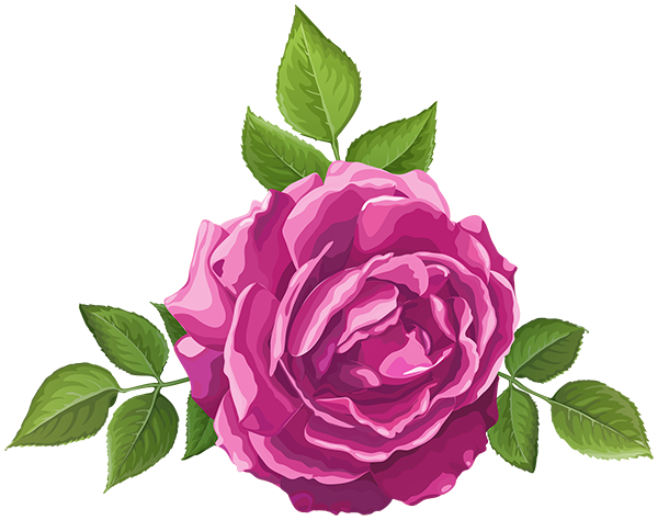 This png image - Rose Decorative Pink Transparent Image, is available for free download