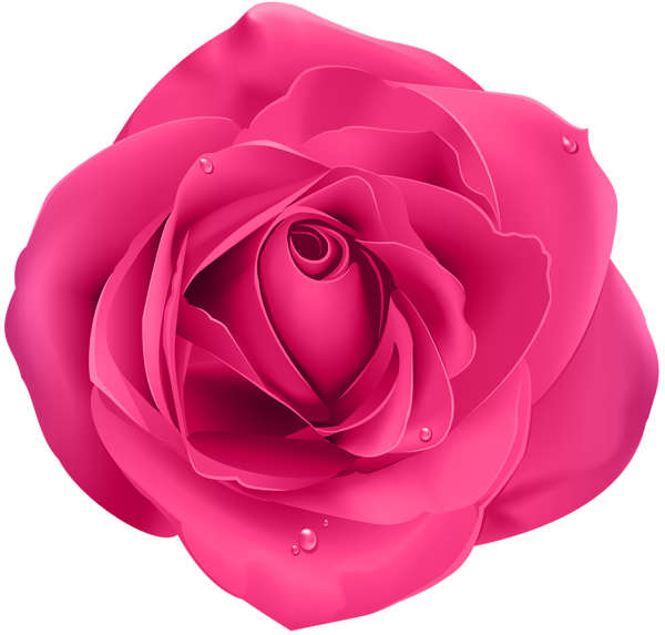 This png image - Rose Pink Transparent PNG Clip Art, is available for free download