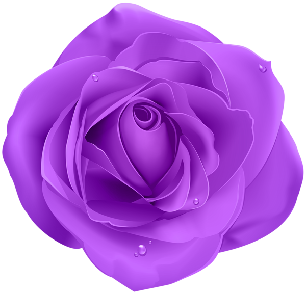 RosePurpleTransparentPngClipArtGalleryYopricevilleHighQualityImagesAnd RosePurpleTransparentPngClipArtGalleryYopricevilleHighQualityImagesAnd