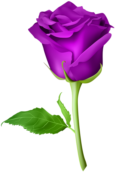 clip art purple rose - photo #18