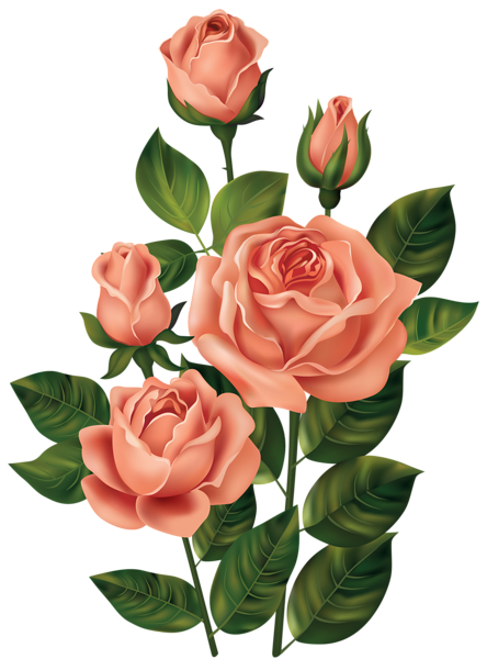 clipart of rose plant - photo #26
