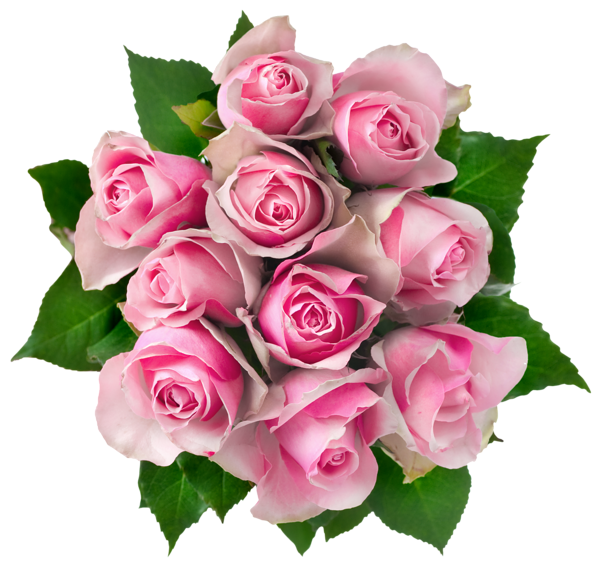 This png image - Transparent Pink Roses Bouquet PNG Clipart Picture, is available for free download