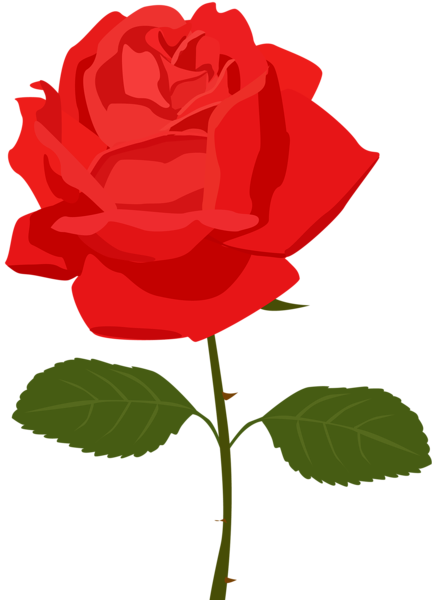 This png image - Transparent Red Rose PNG Picture, is available for free download