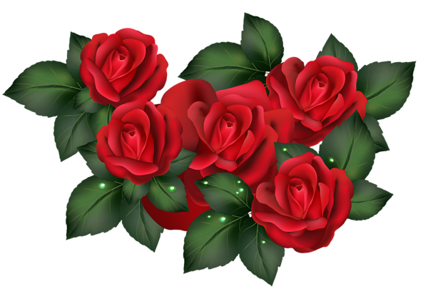 This png image - Transparent Red Roses PNG Clipart, is available for free download